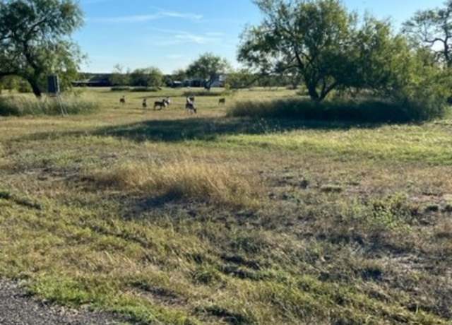 Property at Lot 20 Nakishwana Cir Unit VIII, Sandia, TX 78383