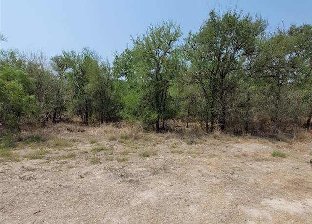 Property at 120 W County Road 3621, Sandia, TX 78383
