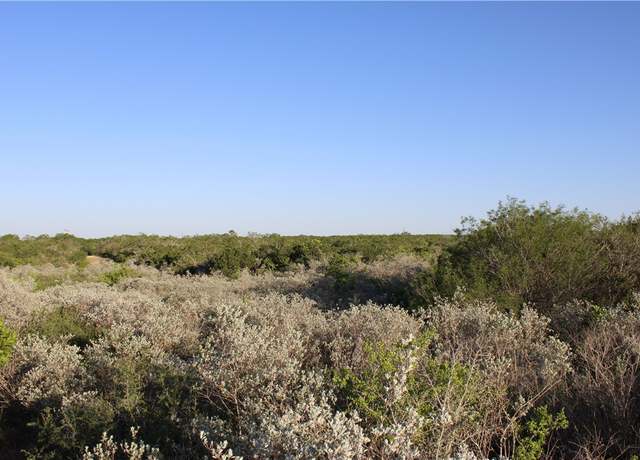 Property at 0 County Road 330, San Diego, TX 78384