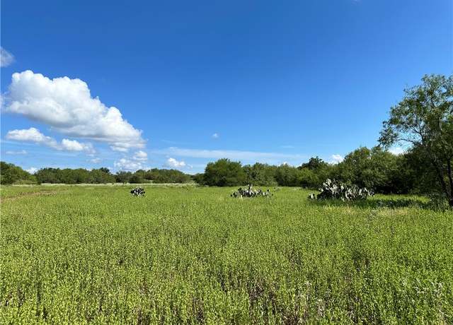 Property at 0000 Fm 534, Sandia, TX 78383