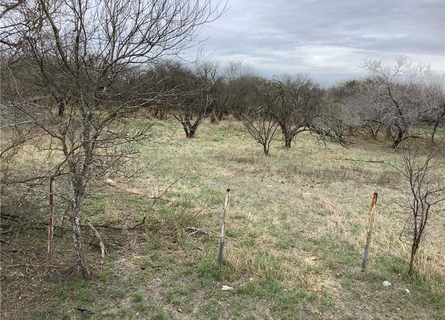 Property at 17 Chuckwagon, Robstown, TX 78380