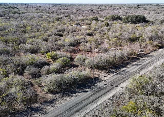 Property at 0 Corrigan, Skidmore, TX 78389