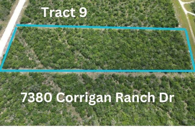 Property at 7380 Corrigan Ranch Drive- Tract 9, Skidmore, TX 78389