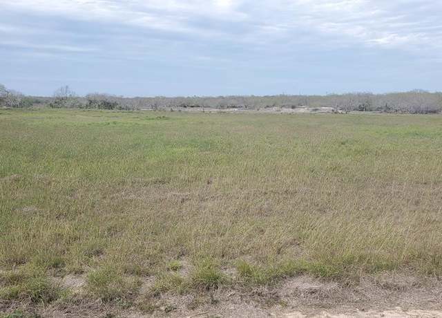 Property at Lot 2 T-head Dr, Riviera, TX 78379