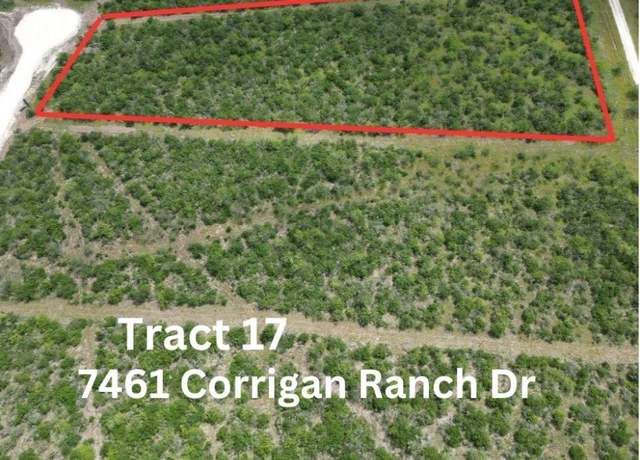 Property at 7460 Corrigan Ranch- Tract 17 Rd, Skidmore, TX 78389