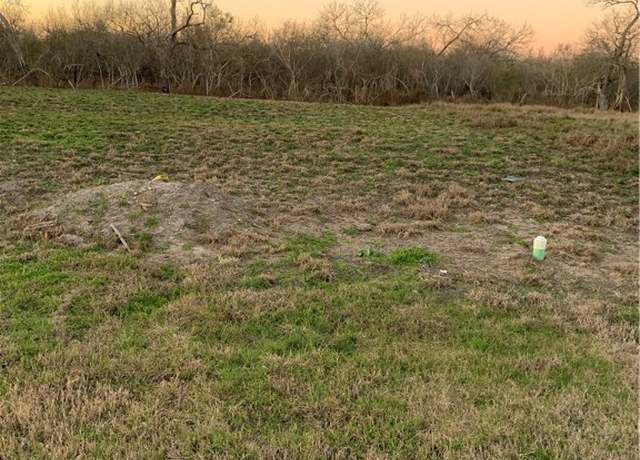 Property at 203 E St. Mary's, Skidmore, TX 78389