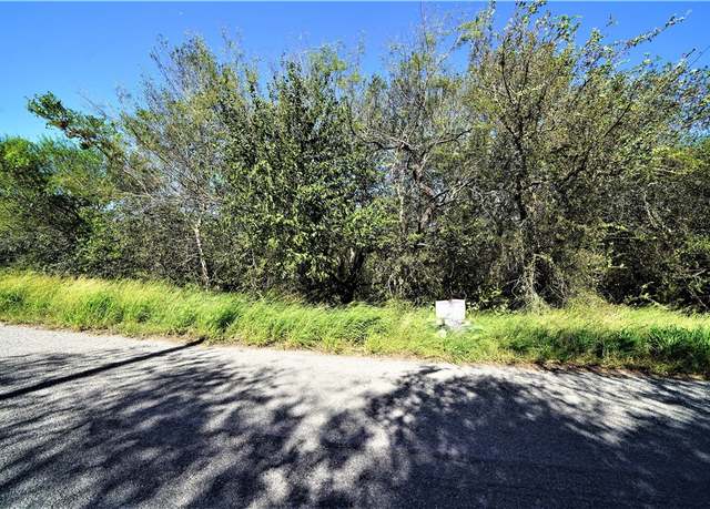 Property at 0000 Easley, Robstown, TX 78380