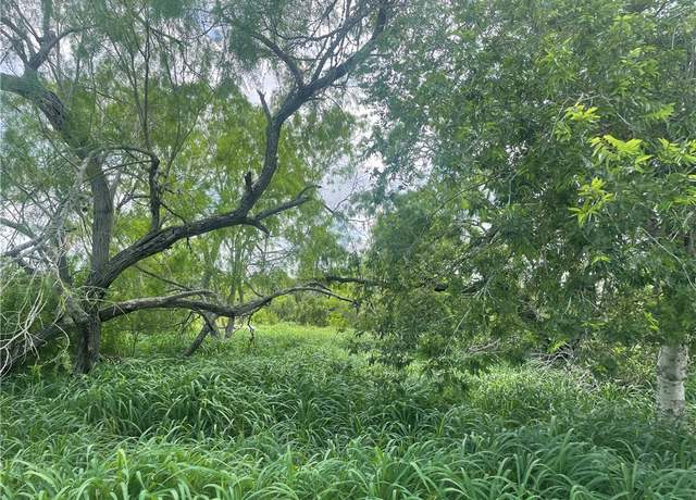 Property at 0 Lake Terrace Dr, Mathis, TX 78368