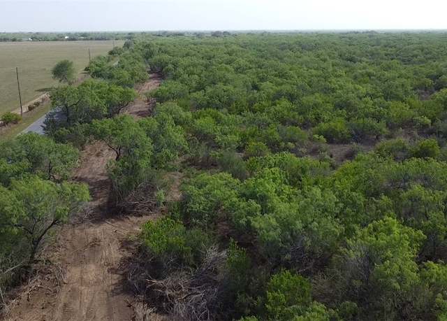 Property at 231 County Rd, Falfurrias, TX 78355