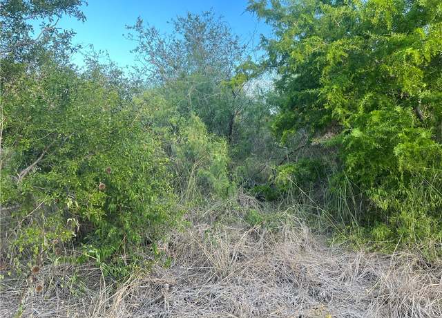 Property at TBD Flores, Mathis, TX 78368