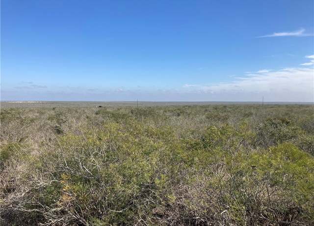 Property at 000 Frontier Rd, Freer, TX 78357
