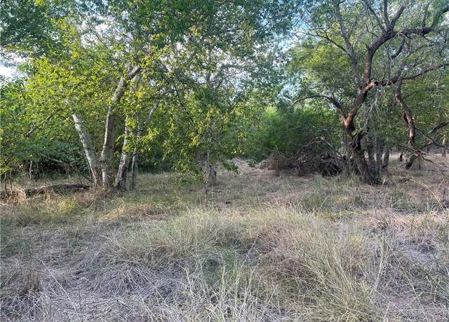 Property at tbd Flores, Mathis, TX 78368