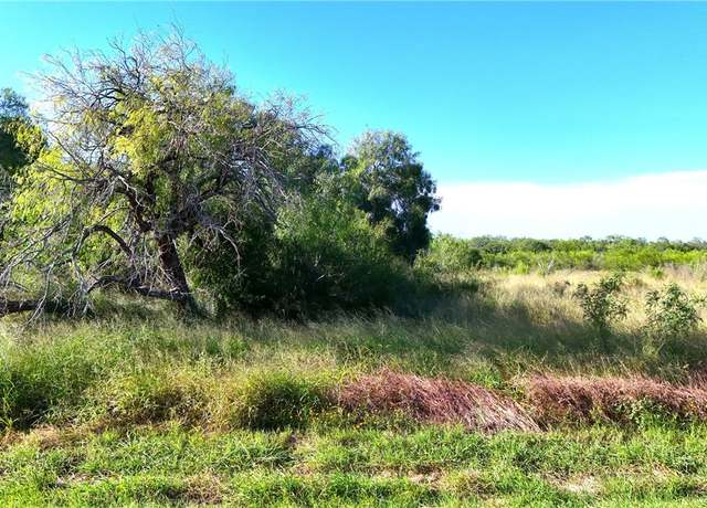 Property at 810 E Fm 771, Riviera, TX 78379