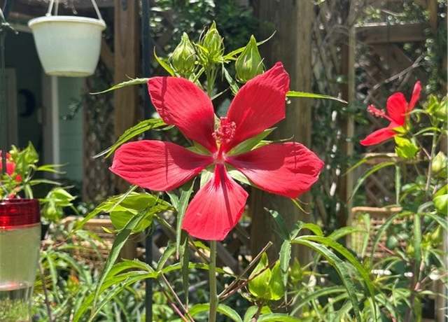 Property at 113 N Santa Clara Dr, Rockport, TX 78382, 3 beds, 2 baths
