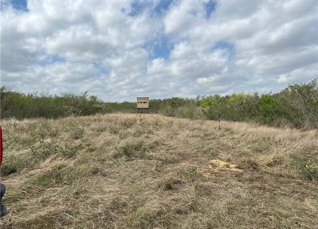 Property at 0 Blackbrush Spur, George West, TX 78022
