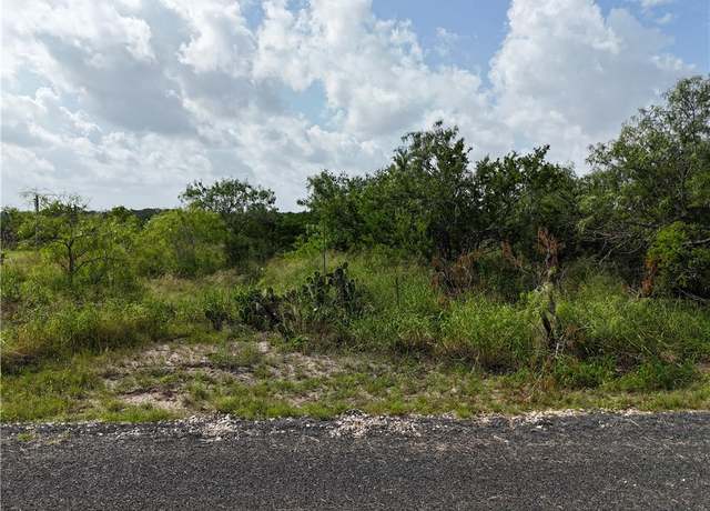 Property at 106 & 108 Navaho, Sandia, TX 78383