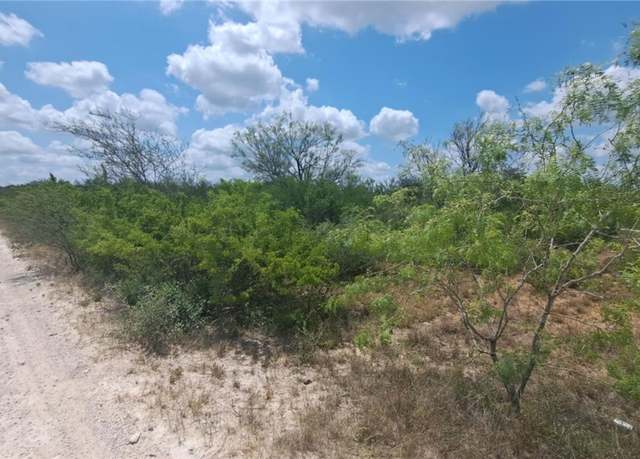 Property at 000 Tr 18 La Nina Rd, San Diego, TX 78384