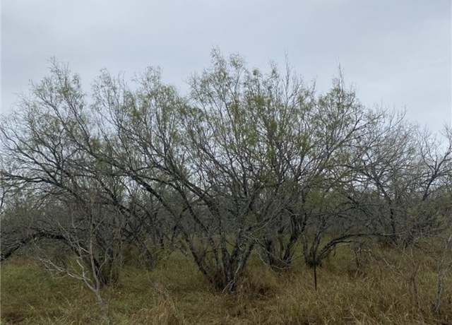 Property at 212 Cr 2101, Alice, TX 78332