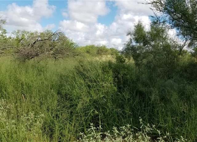Property at 00 Cr 262, Realitos, TX 78376