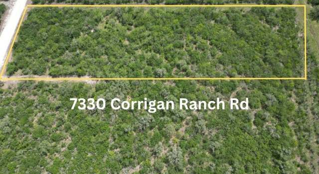 Photo of 7330 Corrigan Ranch Drive - Tract 4, Skidmore, TX 78389