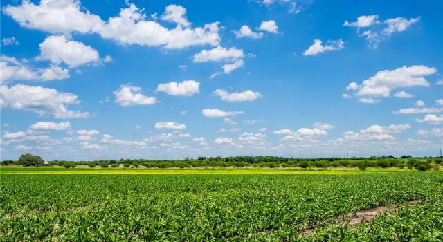 Photo of 0000 Fm 1349, Skidmore, TX 78389