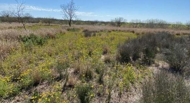 Photo of 000 Cameron Ln/old Fowlerton Rd, Fowlerton, TX 78021