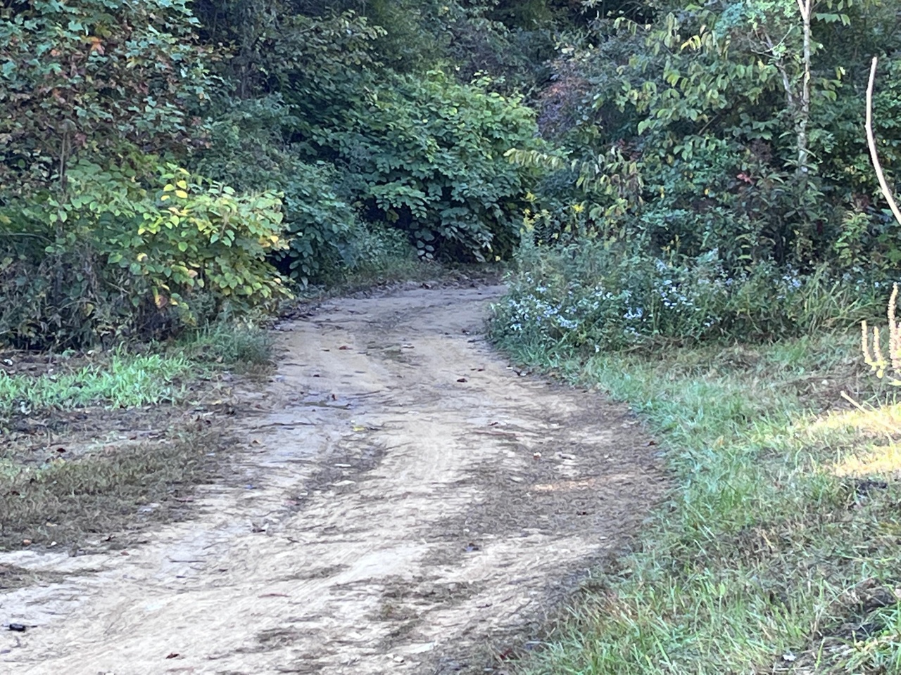 2 Lowder Fork Rd, South Shore, KY 41175 MLS 22025102 Redfin
