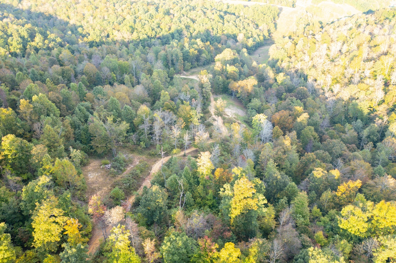 110 Acres Land Fleming Frk, Olive Hill, KY 41164 MLS 22024908 Redfin