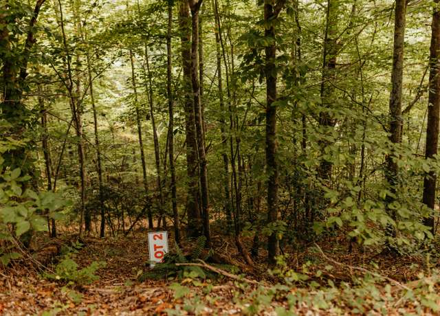 Property at TBD Lot 5 Sandy Ridge Rd, Campton, KY 41301