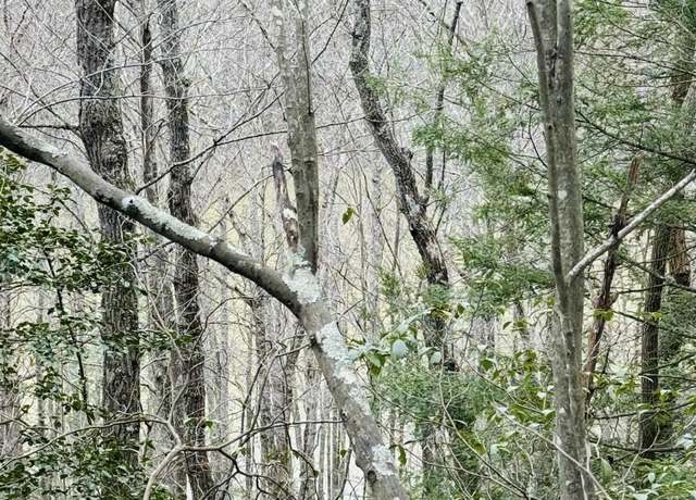 Property at 0 Sandy Hills Rd, Corbin, KY 40701
