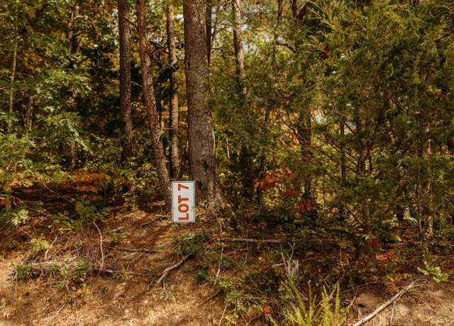 Property at TBD Lot 7 Sandy Ridge Rd, Campton, KY 41301