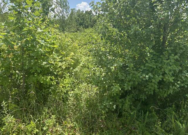 Property at Lot East Meadow Dr, Nancy, KY 42544