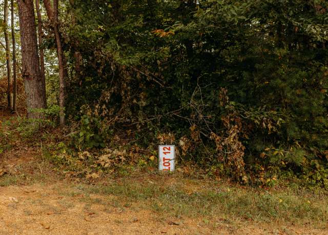 Property at TBD Lot 12 Sandy Ridge Rd, Campton, KY 41301