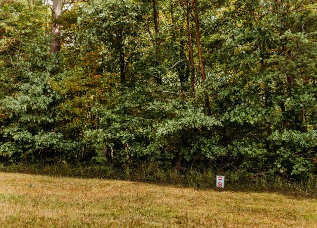 Property at TBD Lot 13 Sandy Ridge Rd, Campton, KY 41301