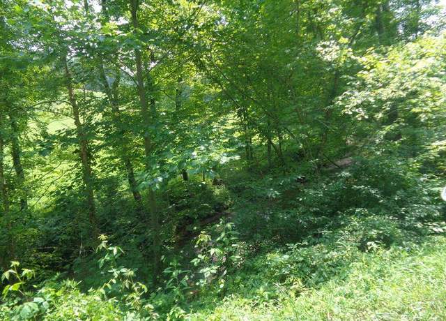 Property at Lot 36 Cliffs Edge Rd, East Bernstadt, KY 40729