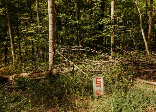 Property at TBD Lot 15 Sandy Ridge Rd, Campton, KY 41301