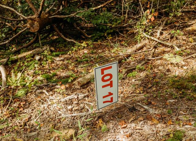 Property at TBD Lot 17 Sandy Ridge Rd, Campton, KY 41301