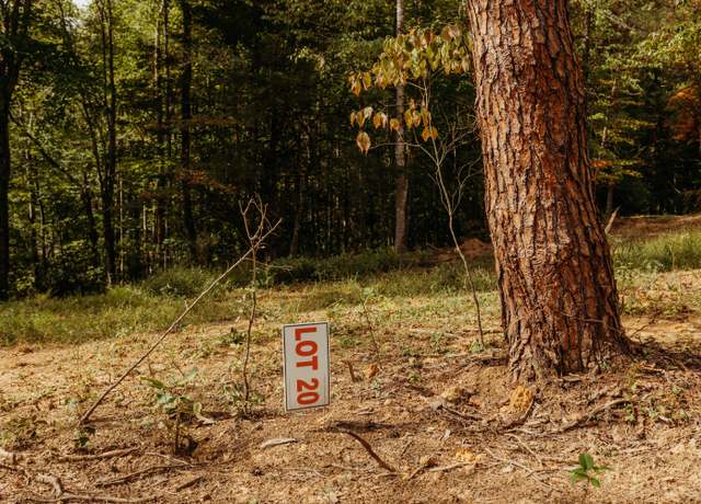 Property at TBD Lot 20 Sandy Ridge Rd, Campton, KY 41301
