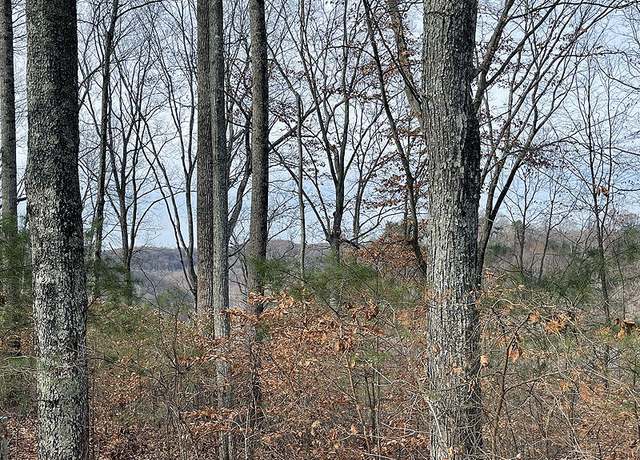 Property at Lot 84 Stillwater, Russell Springs, KY 42642