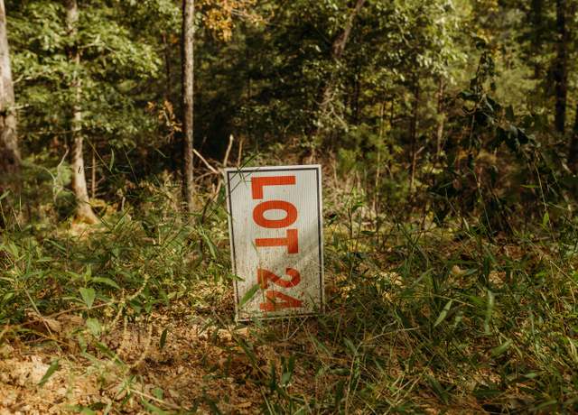 Property at TBD Lot 24 Sandy Ridge Rd, Campton, KY 41301