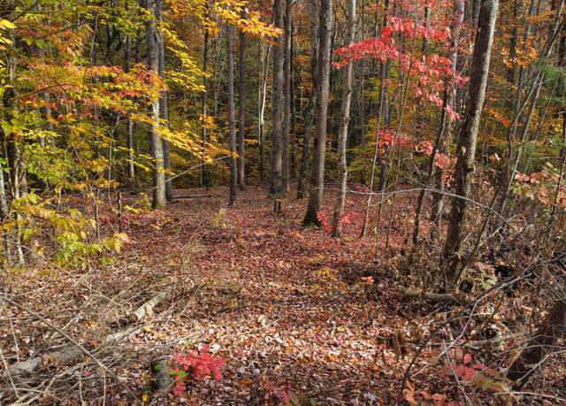 Property at Lot #55 The Reserve At Cliffview, Zoe, KY 41397