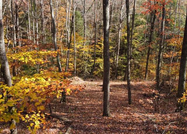 Property at Lot #54 The Reserve At Cliffview, Zoe, KY 41397