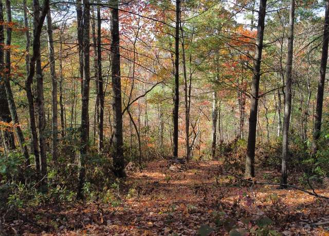 Property at Lot #46 The Reserve At Cliffview, Zoe, KY 41397