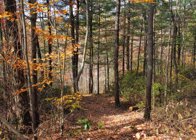 Property at Lot #45 The Reserve At Cliffview, Zoe, KY 41397