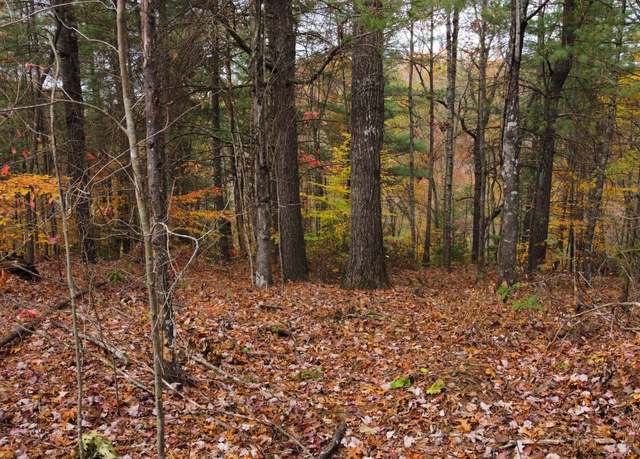Property at Lot #44 The Reserve At Cliffview, Zoe, KY 41397