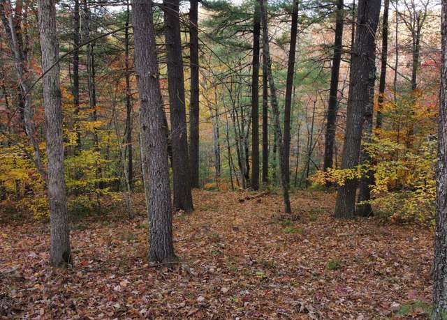 Property at Lot #43 The Reserve At Cliffview, Zoe, KY 41397