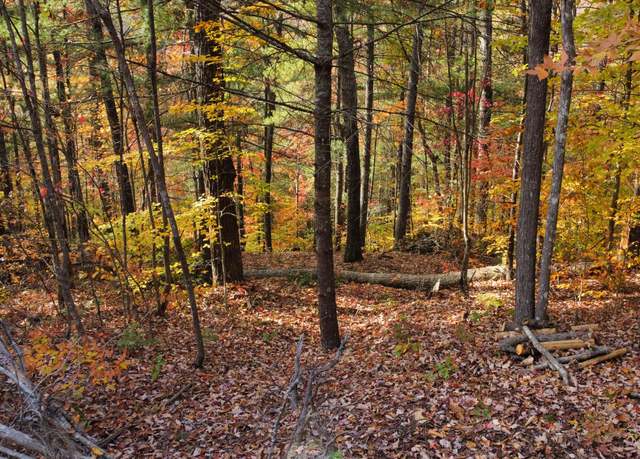 Property at Lot #42 The Reserve At Cliffview, Zoe, KY 41397