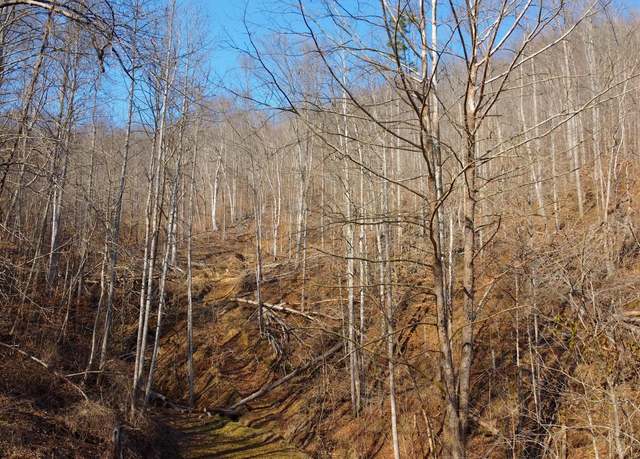 Property at 981 Meat Scaffold Rd, Jackson, KY 41339