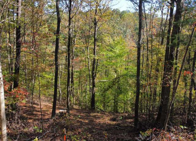 Property at Lot #51 The Reserve At Cliffview, Zoe, KY 41397