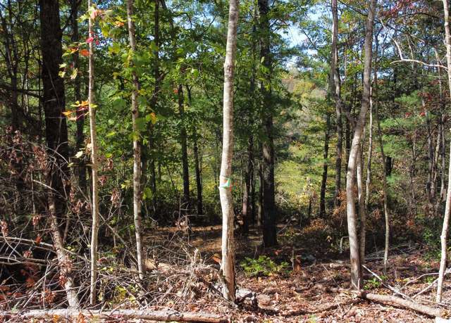 Property at Lot #47 The Reserve At Cliffview, Zoe, KY 41397